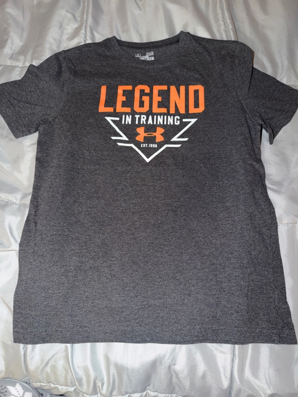 Under Armour ‘Legend in Training' Gray Graphic Tee